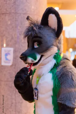 IMG_2156-lr16t.jpg of NFC/NFC2017/