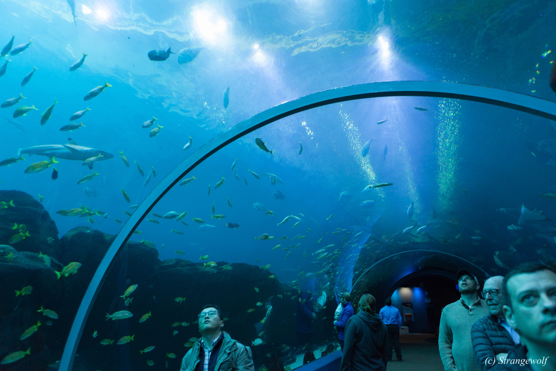 full image IMG_2169-lr19t.jpg