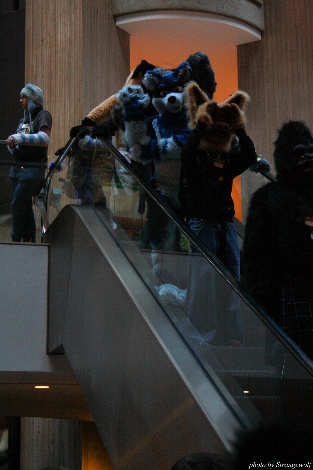 full image IMG_0596-lr.jpg