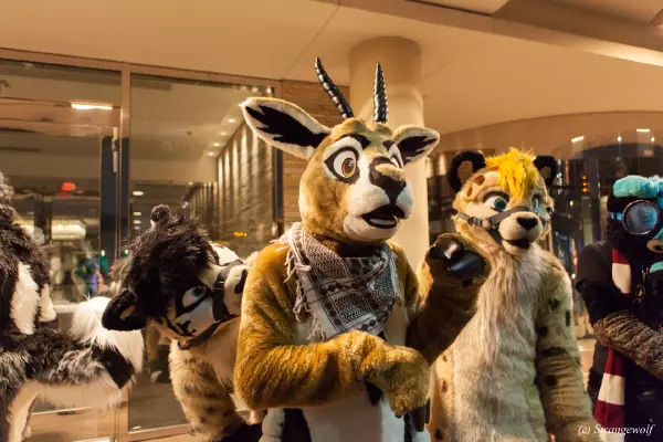 IMG_7021-lr19t.jpg of MFF/MFF2018/