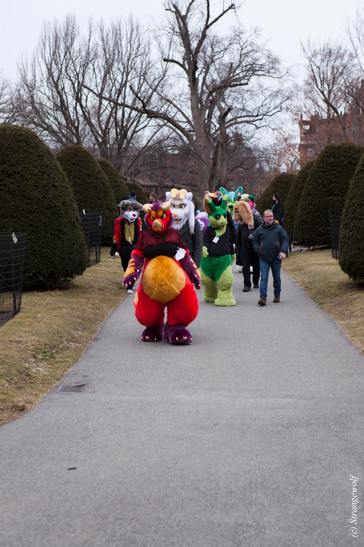 full image IMG_3143-lr19t.jpg