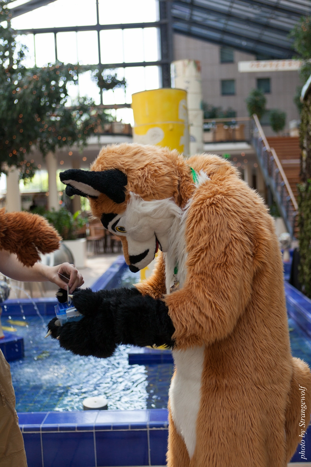 full image IMG_1906-lr16t.jpg