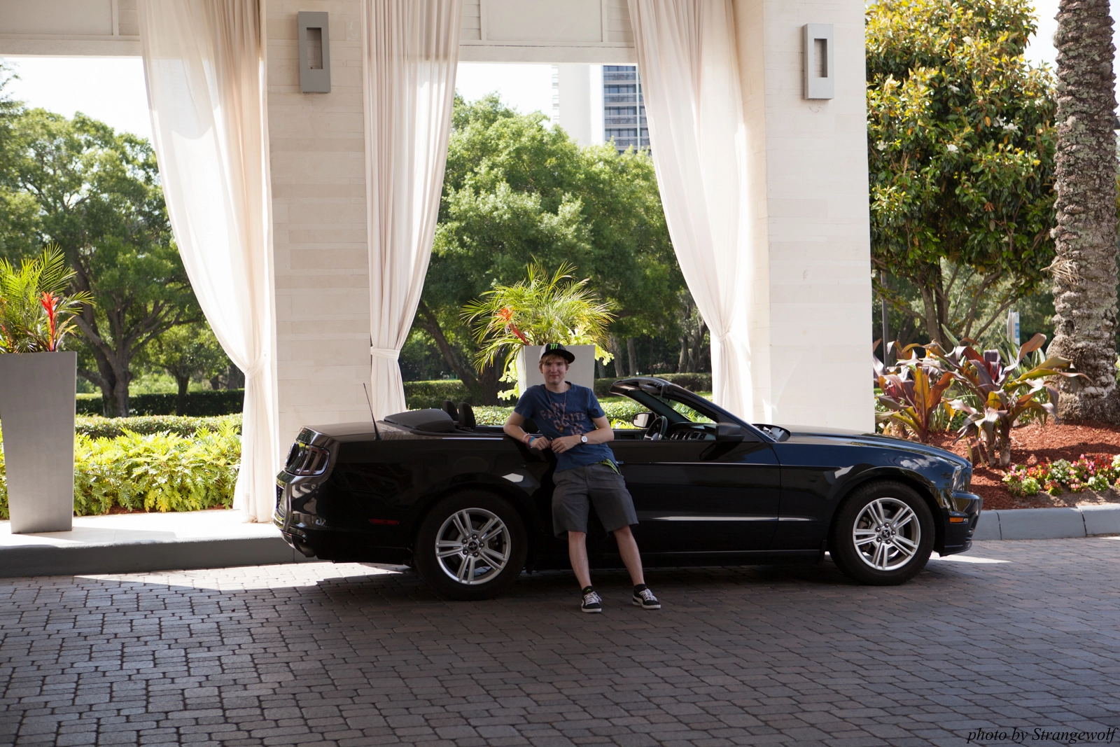 full image IMG_8852-lr16t.jpg