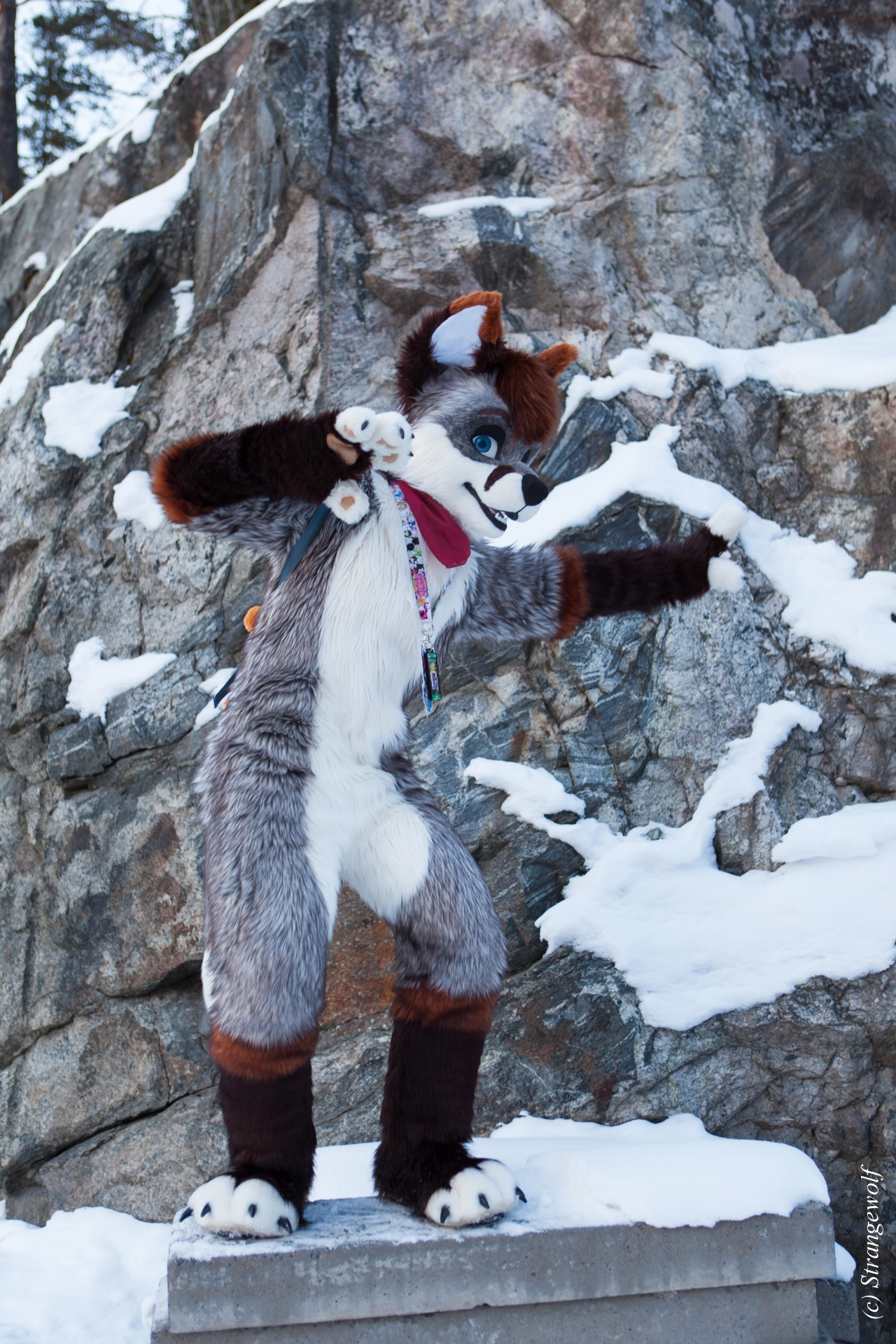 full image IMG_0657-lr19t.jpg