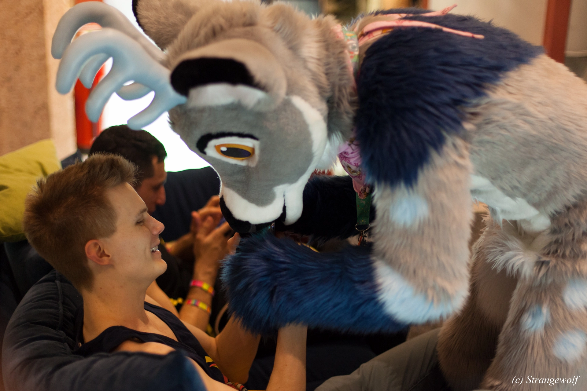 full image IMG_9759-lr19t.jpg