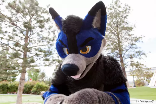 IMG_2808-lr19t.jpg of BLFC/2019/Fotoshoot-Slate/