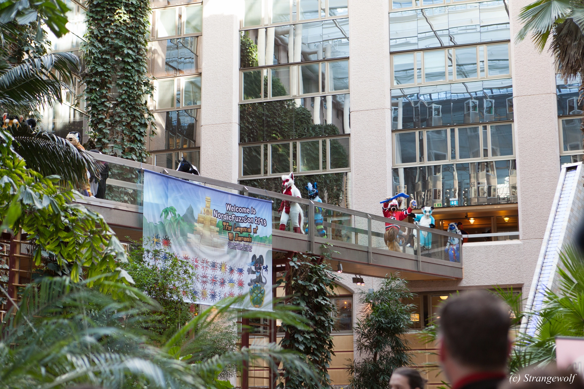 full image IMG_9468-lr19t.jpg