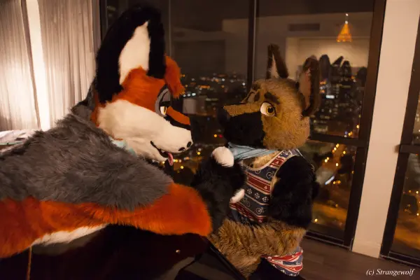 IMG_2285-lr19t.jpg of FWA/FWA2018/