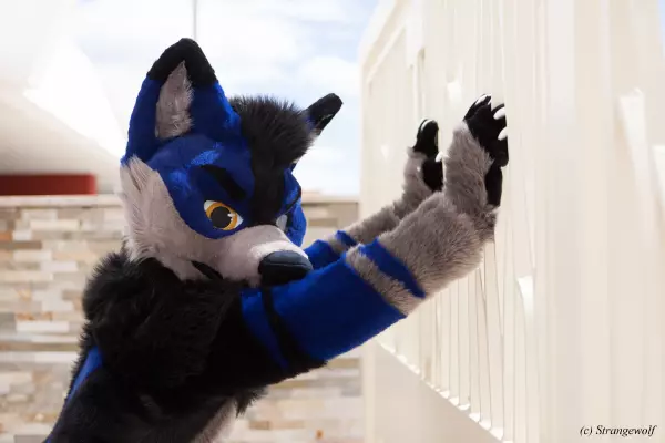 IMG_2704-lr19t.jpg of BLFC/2019/Fotoshoot-Slate/