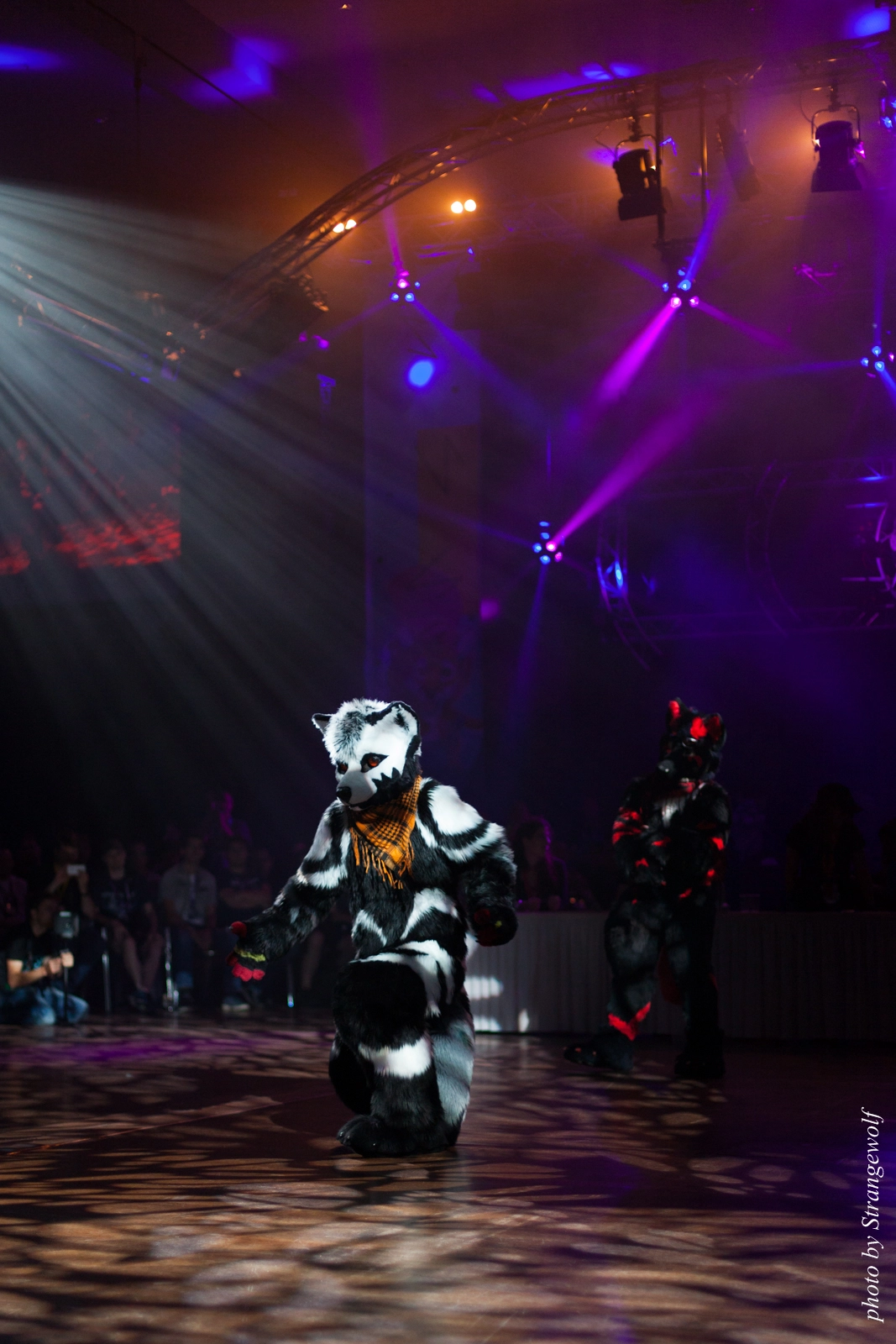 full image IMG_9862-lr16t.jpg