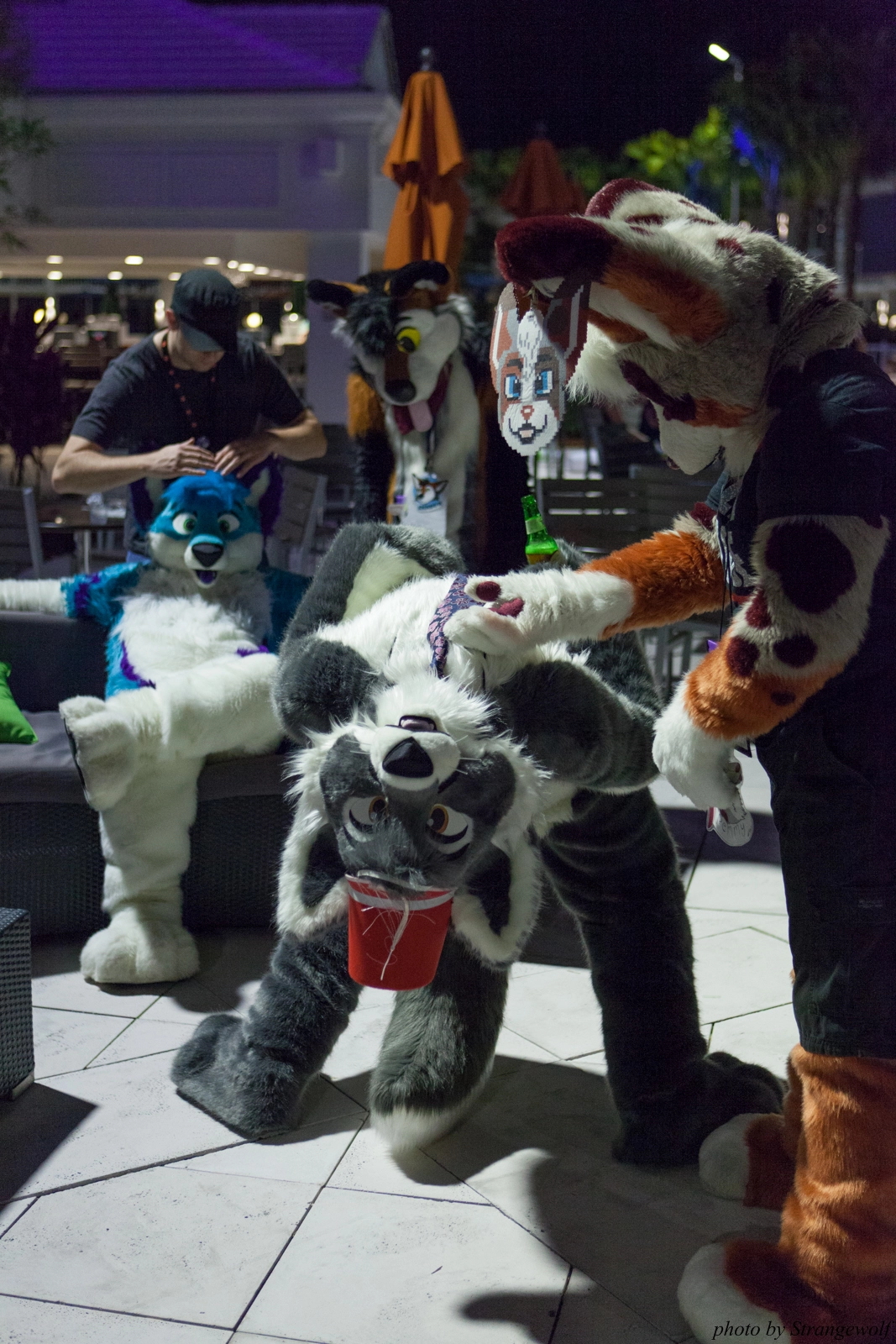 full image IMG_8574-lr16t.jpg