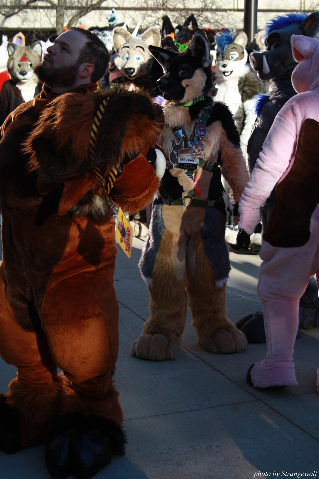full image IMG_0650-lr.jpg