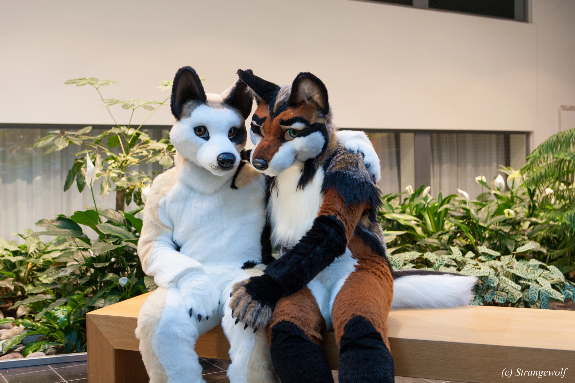 full image IMG_0517-lr19t.jpg