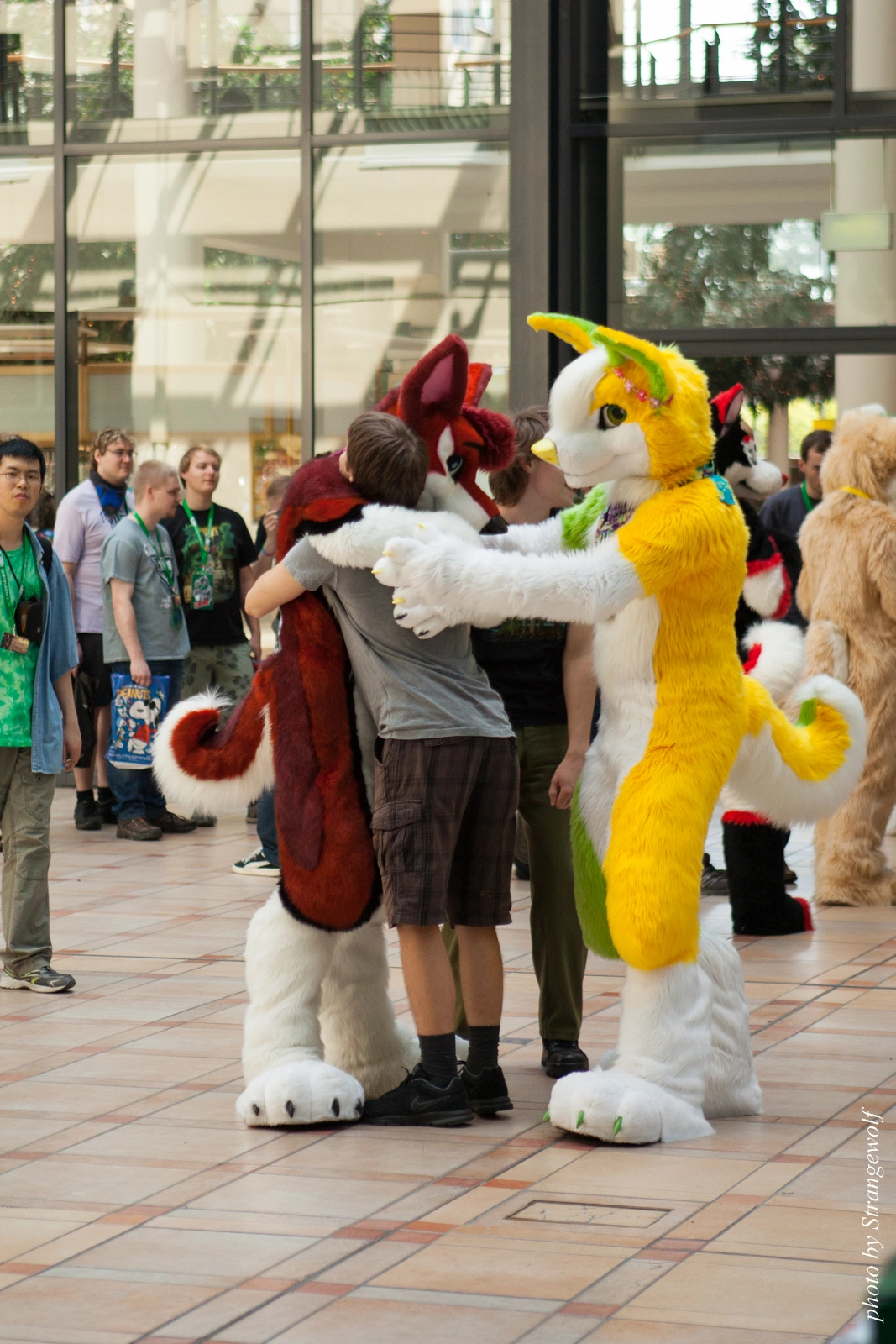 full image IMG_2051-lr16t.jpg