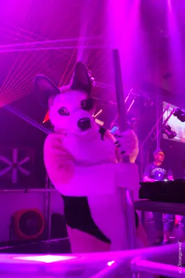 IMG_5047-lr19t.jpg of EF/EF24/