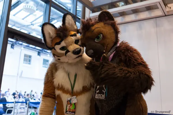 IMG_4989-lr19t.jpg of EF/EF24/