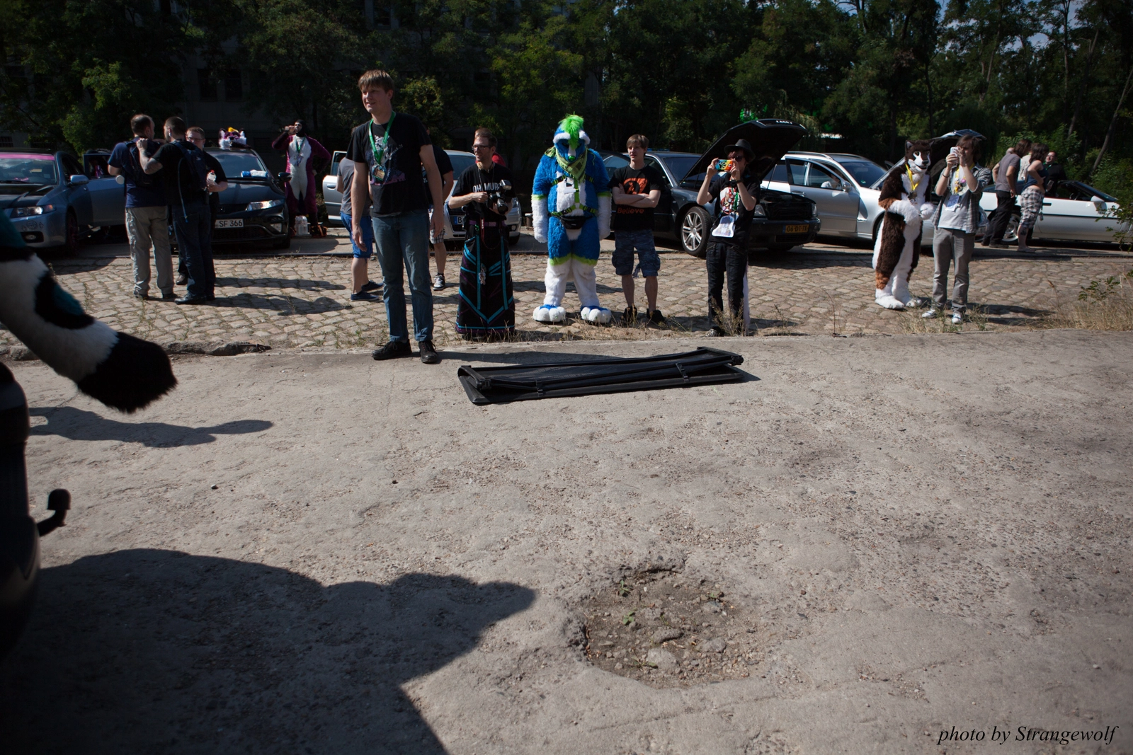 full image IMG_2269-lr16t.jpg