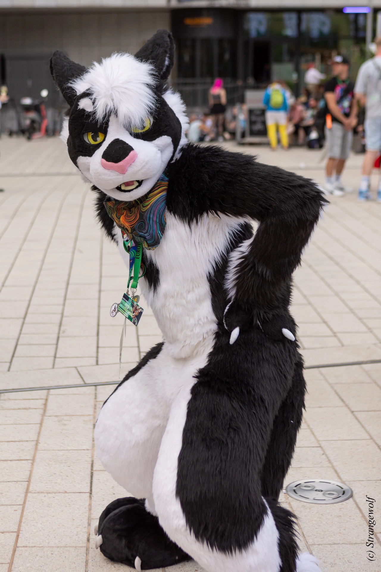 full image 1R3A9185-lr19t.jpg