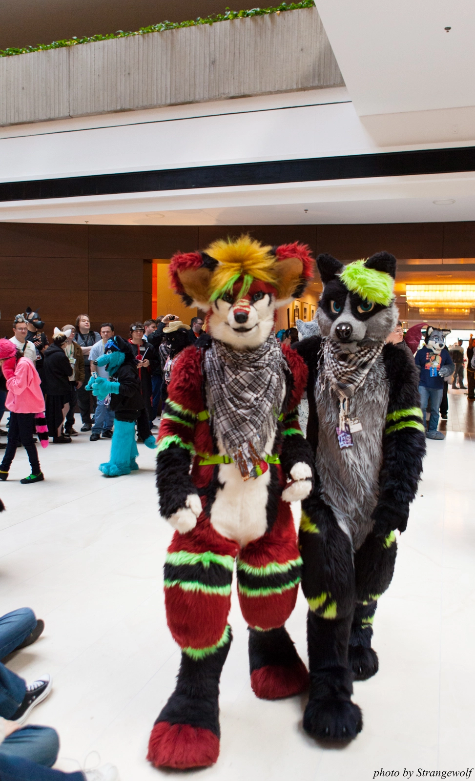 full image IMG_5986-lr16t.jpg