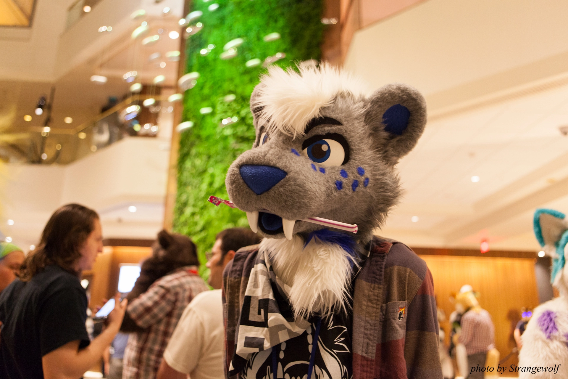 full image IMG_9871-lr19t.jpg