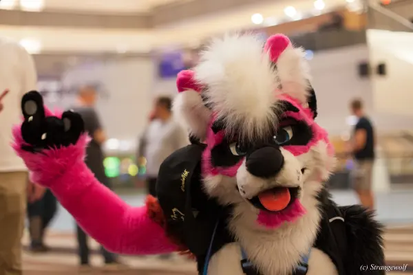 IMG_1412-lr19t.jpg of FWA/FWA2018/