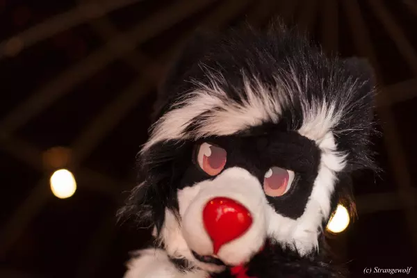 IMG_7122-lr19t.jpg of MFF/MFF2018/