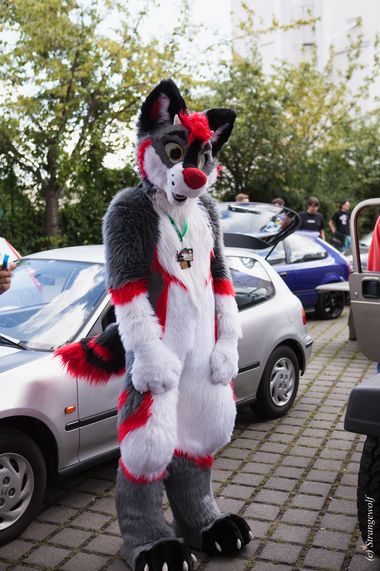 full image IMG_6940-lr19t.jpg