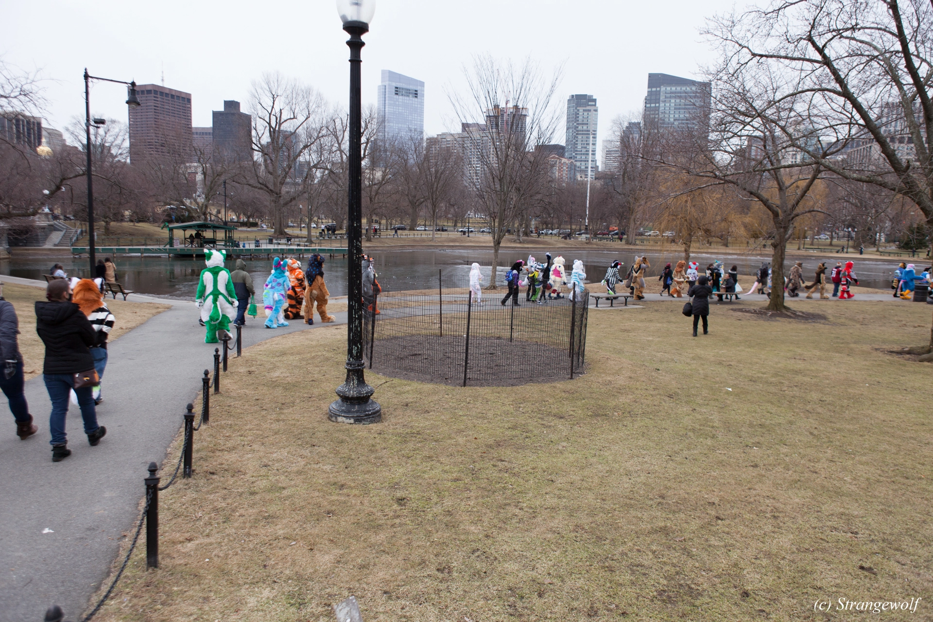 full image IMG_3271-lr19t.jpg