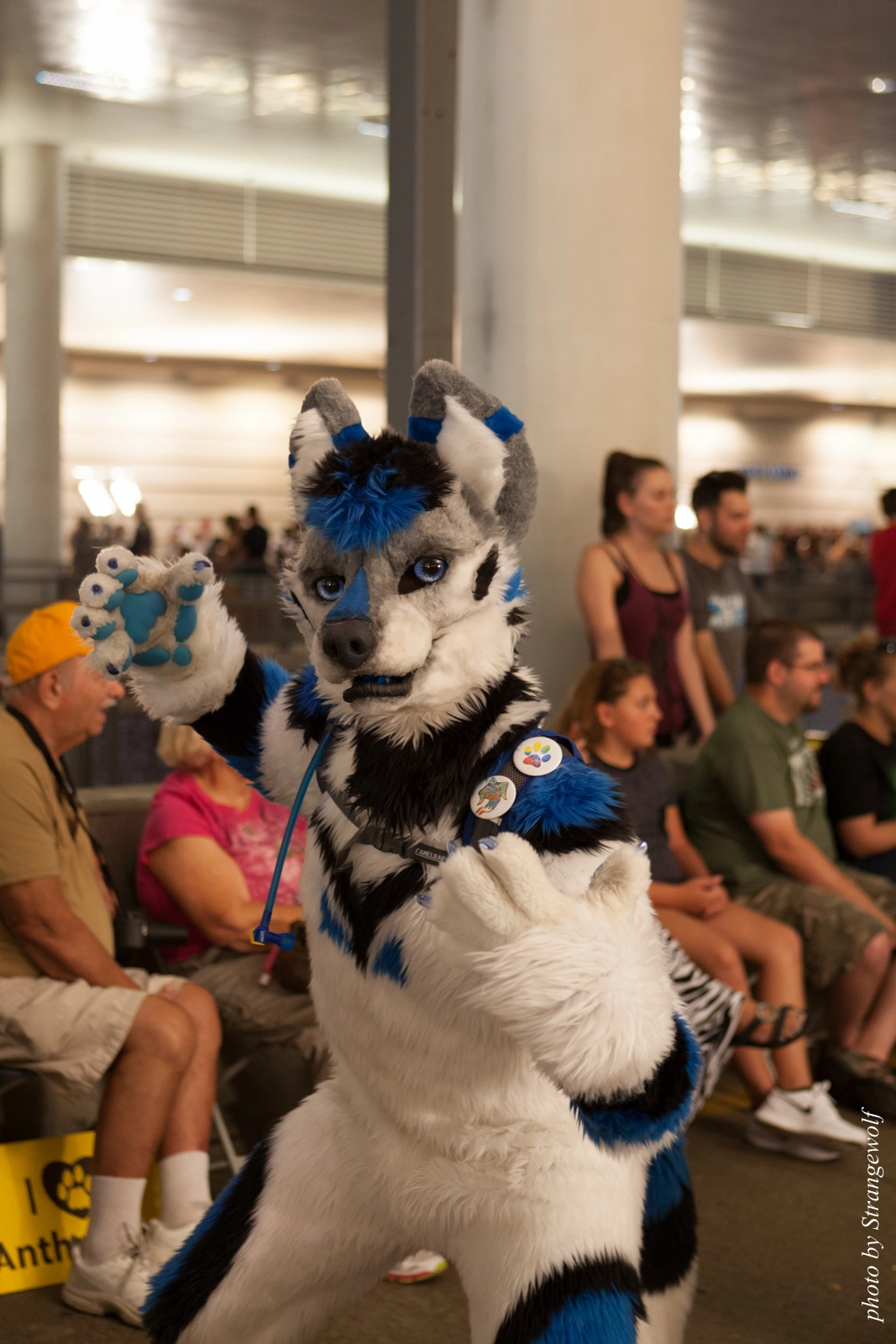 full image IMG_8046-lr16t.jpg