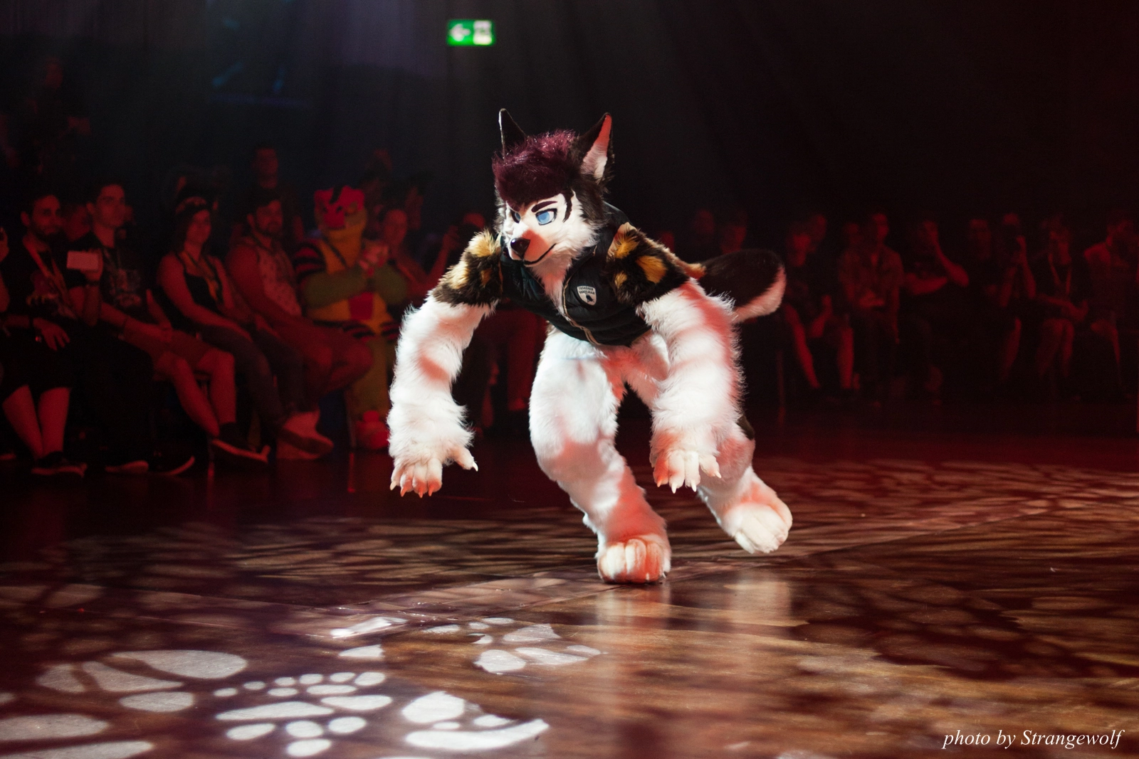 full image IMG_9423-lr16t.jpg