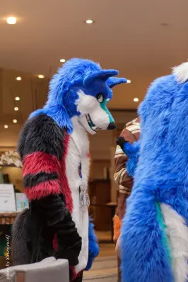 IMG_7548-lr16t.jpg of CFZ/CFZ2016/