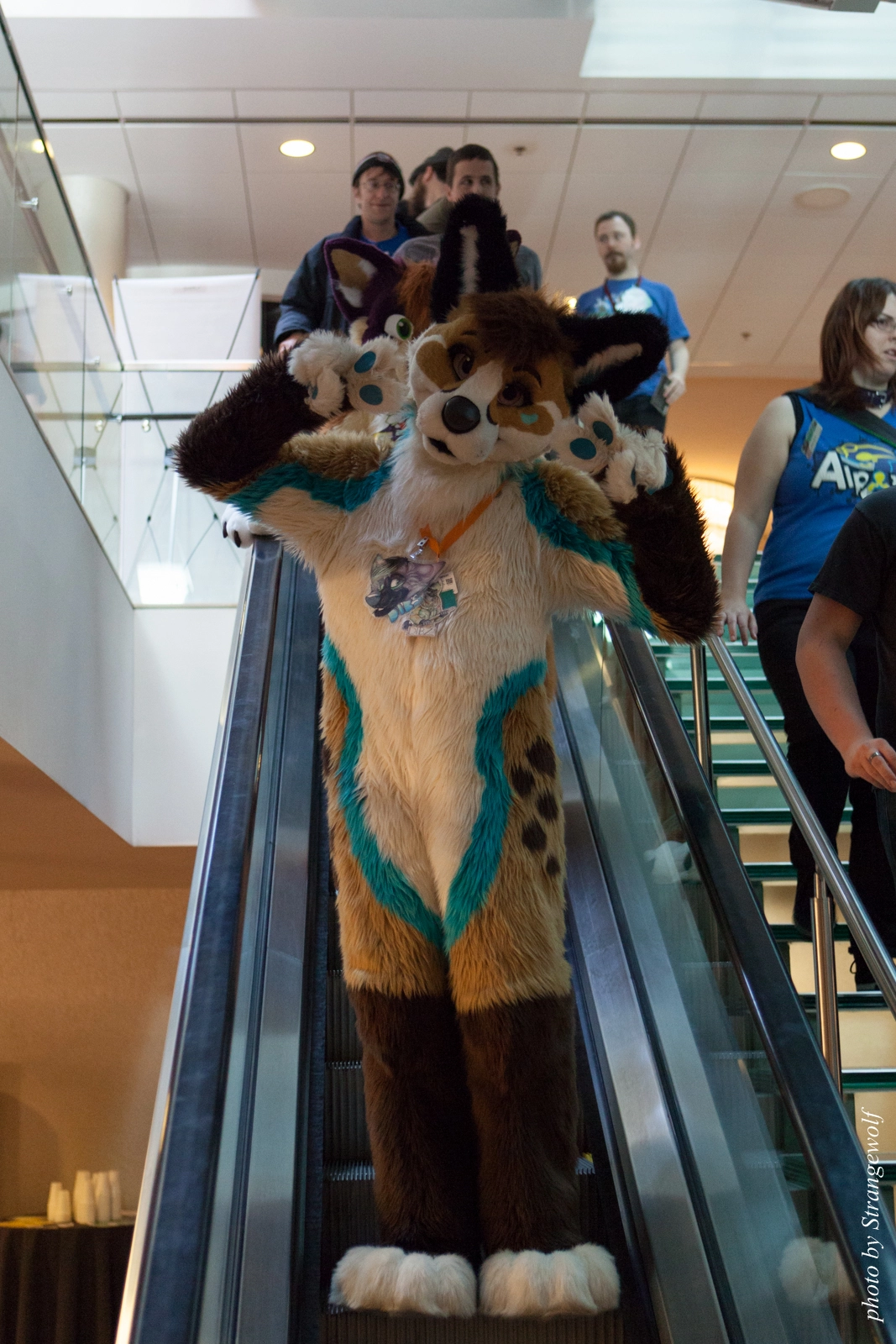 full image IMG_4128-lr16t.jpg