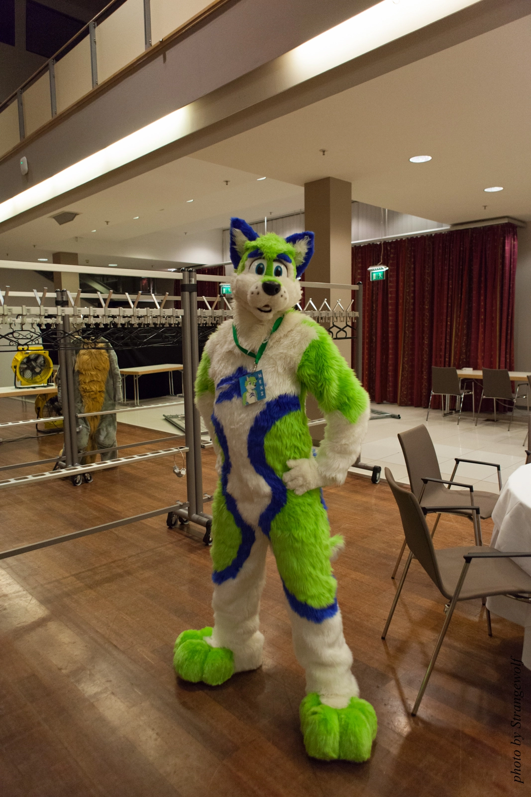full image IMG_1361-lr16t.jpg