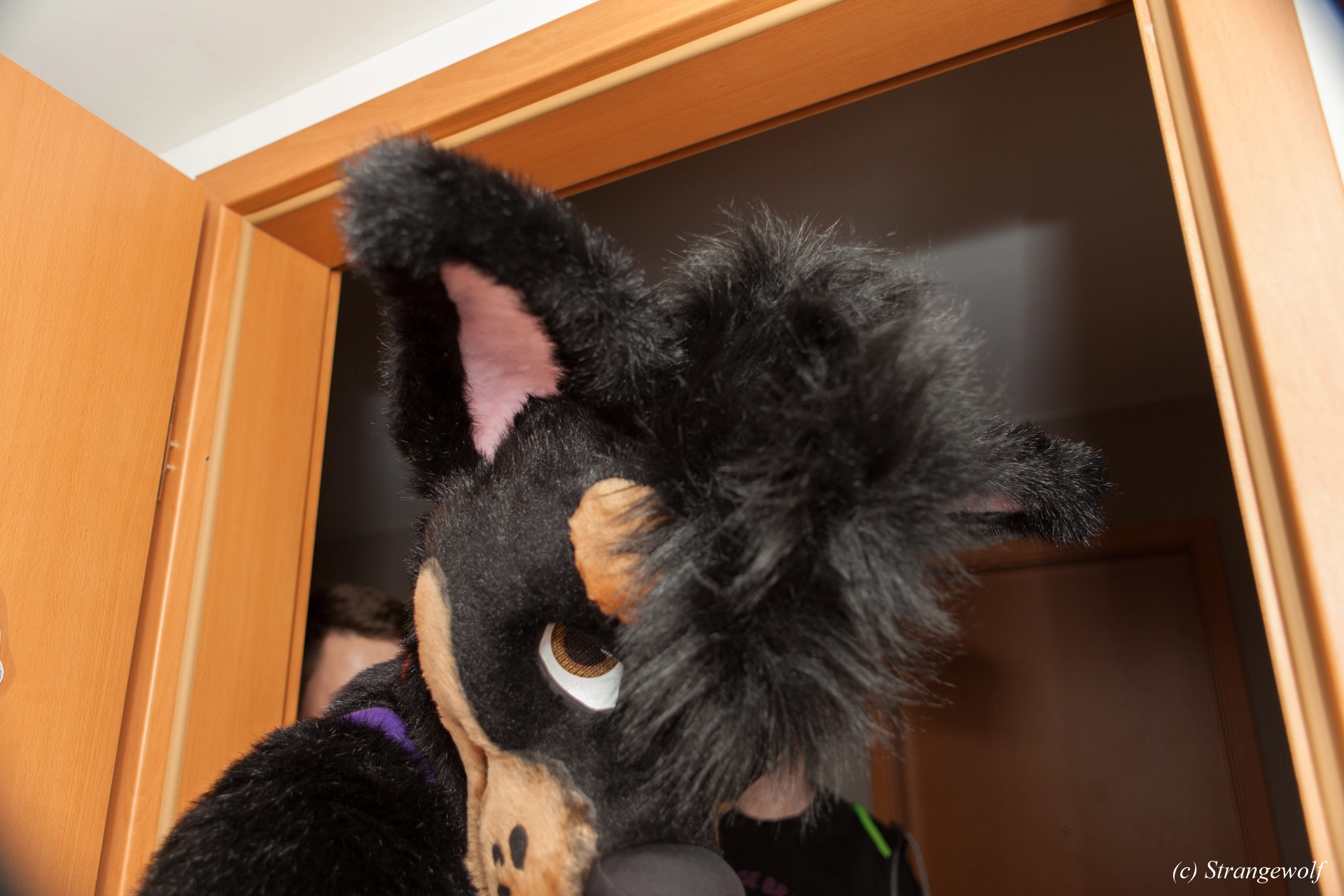 full image IMG_4780-lr19t.jpg