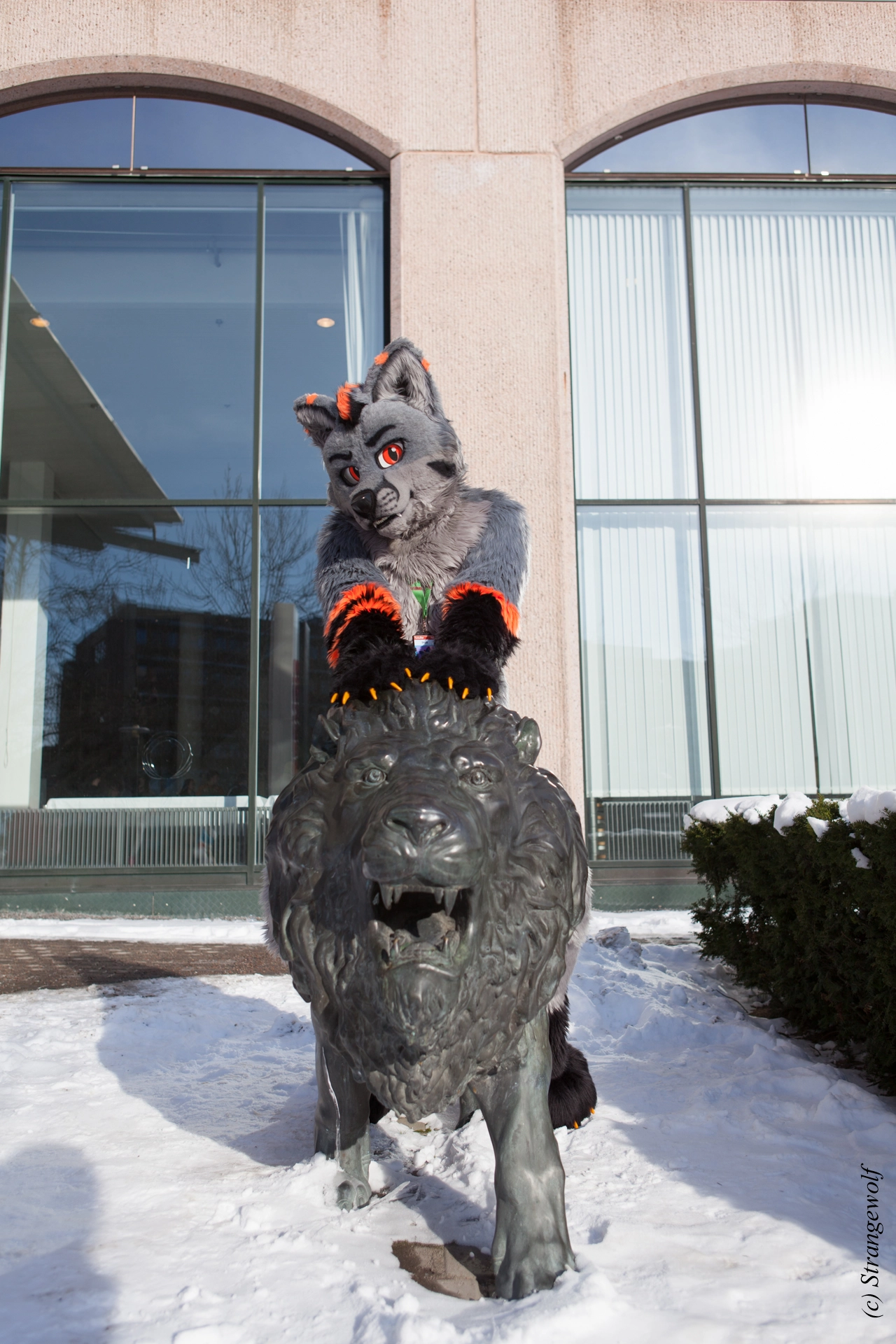 full image IMG_9688-lr19t.jpg