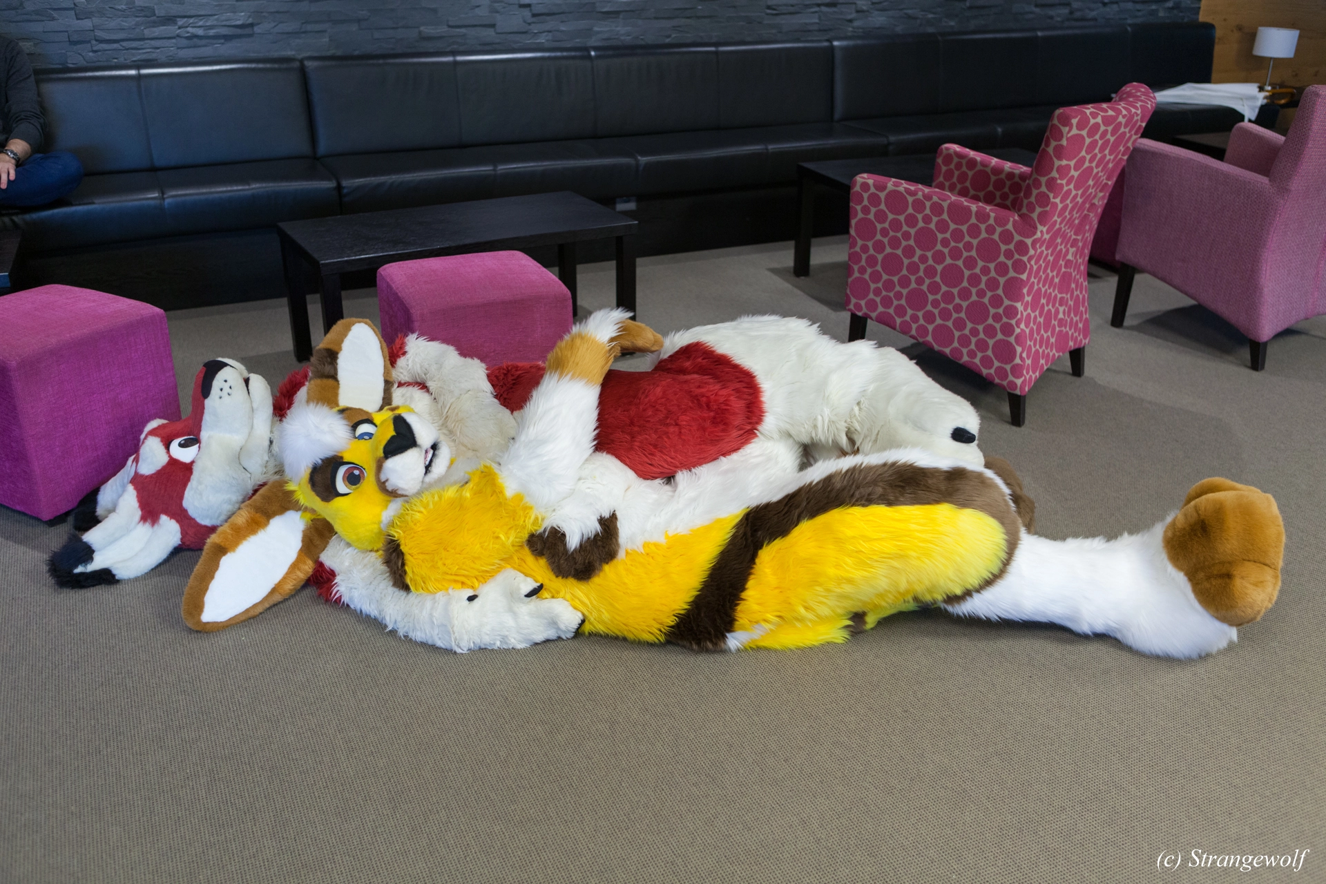 full image IMG_7123-lr19t.jpg