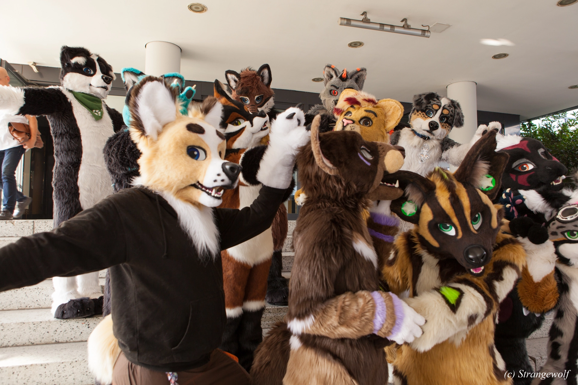 full image IMG_4916-lr19t.jpg