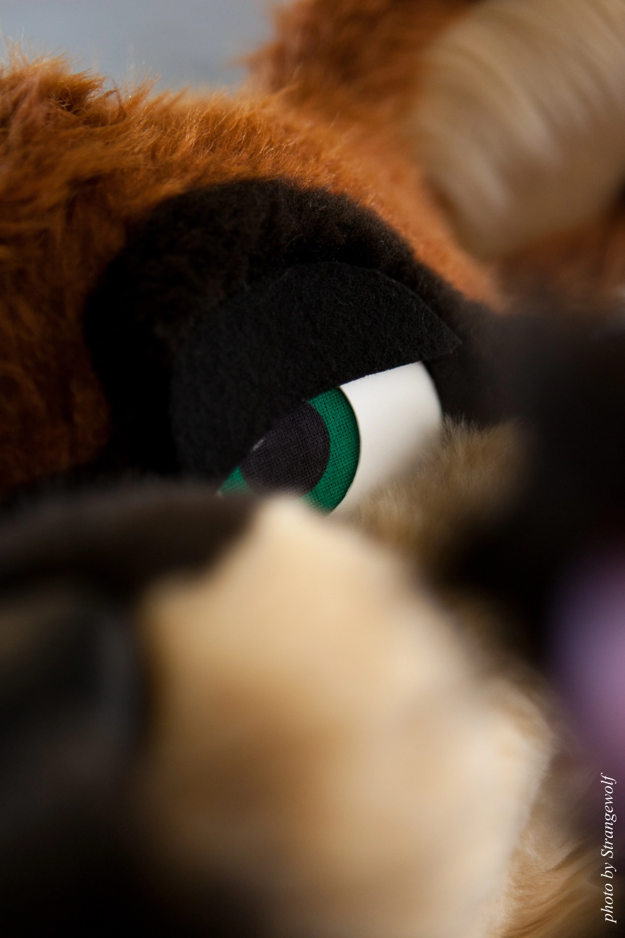 full image IMG_4289-lr19t.jpg