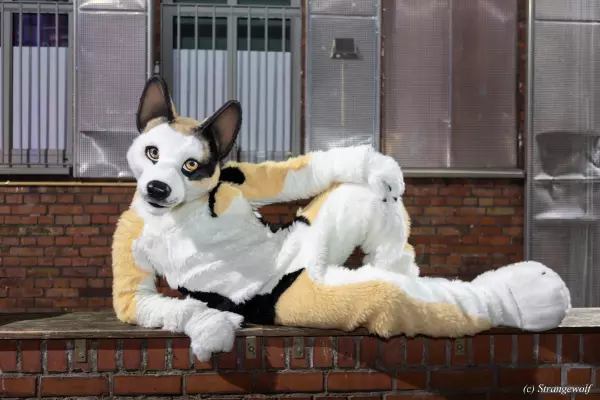 1R3A2591-lr19t.jpg of Furstrike/Furstrike 2022/