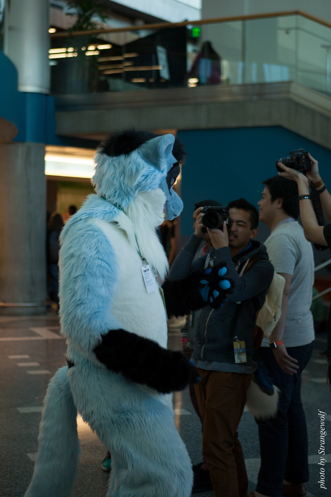 full image IMG_1073-lr16t.jpg