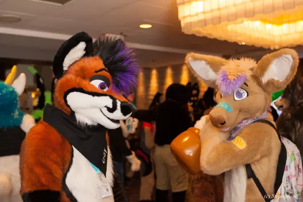 IMG_7419-lr19t.jpg of MFF/MFF2018/