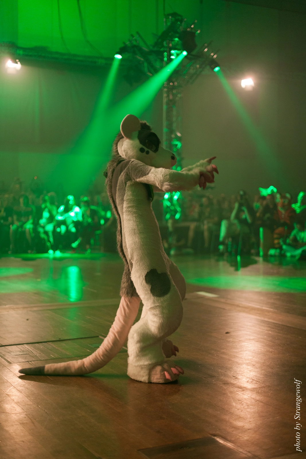 full image IMG_2465-lr16t.jpg