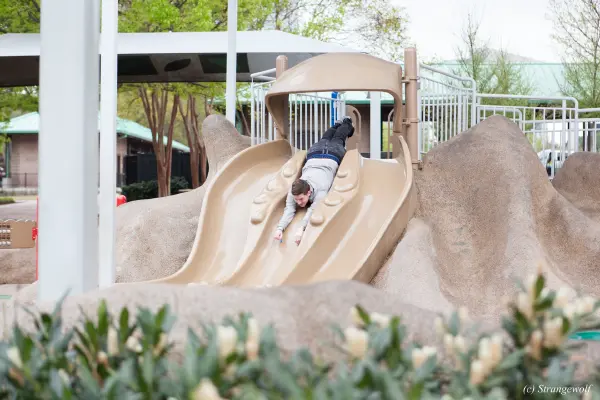 IMG_2154-lr19t.jpg of FWA/FWA2018/