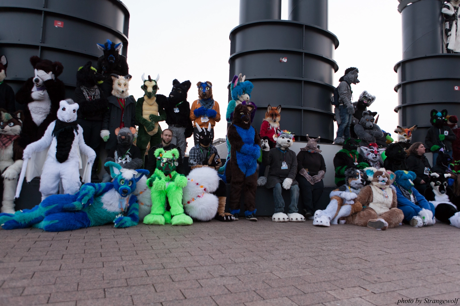 full image IMG_5373-lr16t.jpg