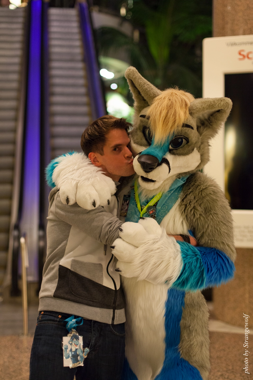 full image IMG_1498-lr16t.jpg