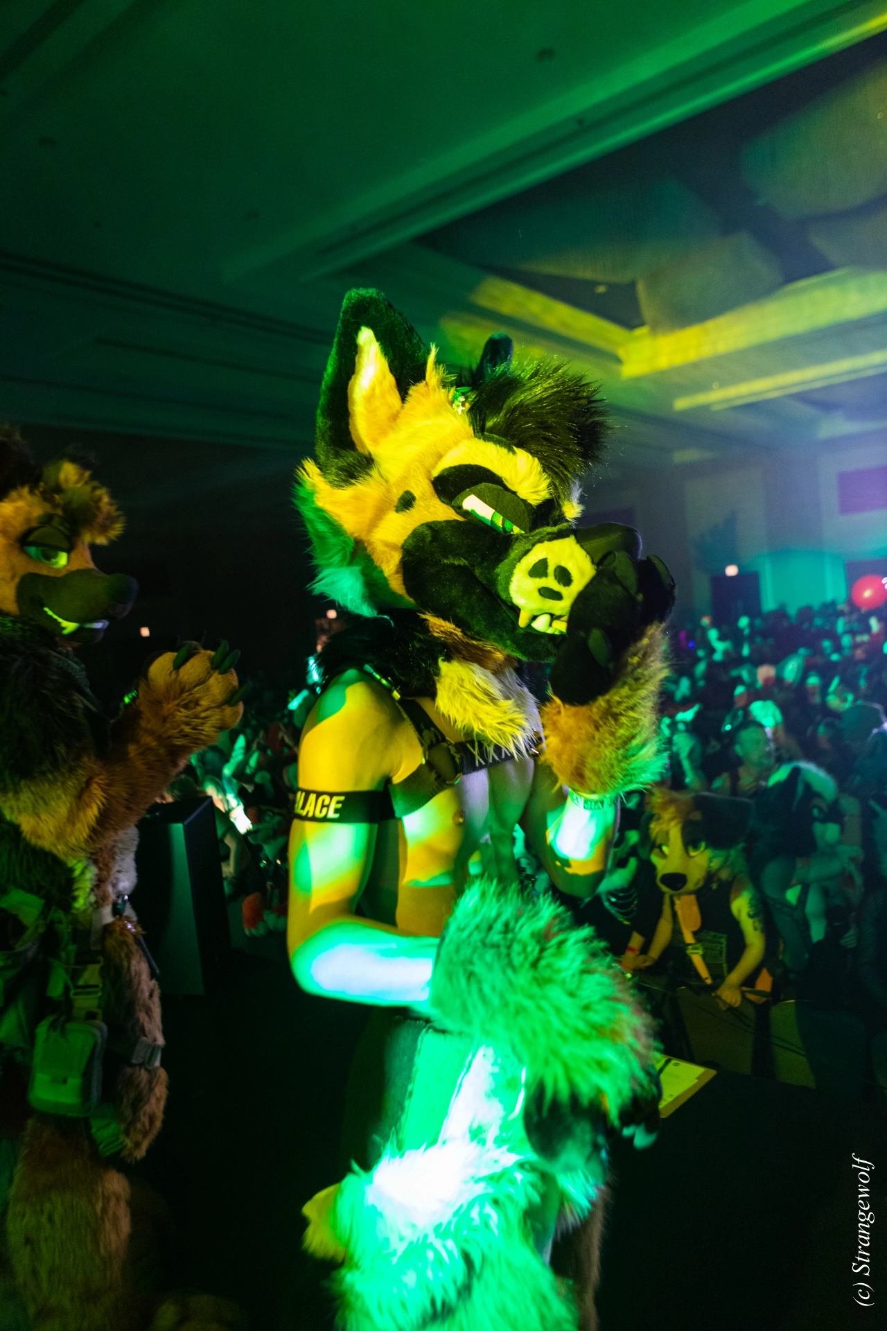 full image 1R3A7014-lr19t.jpg