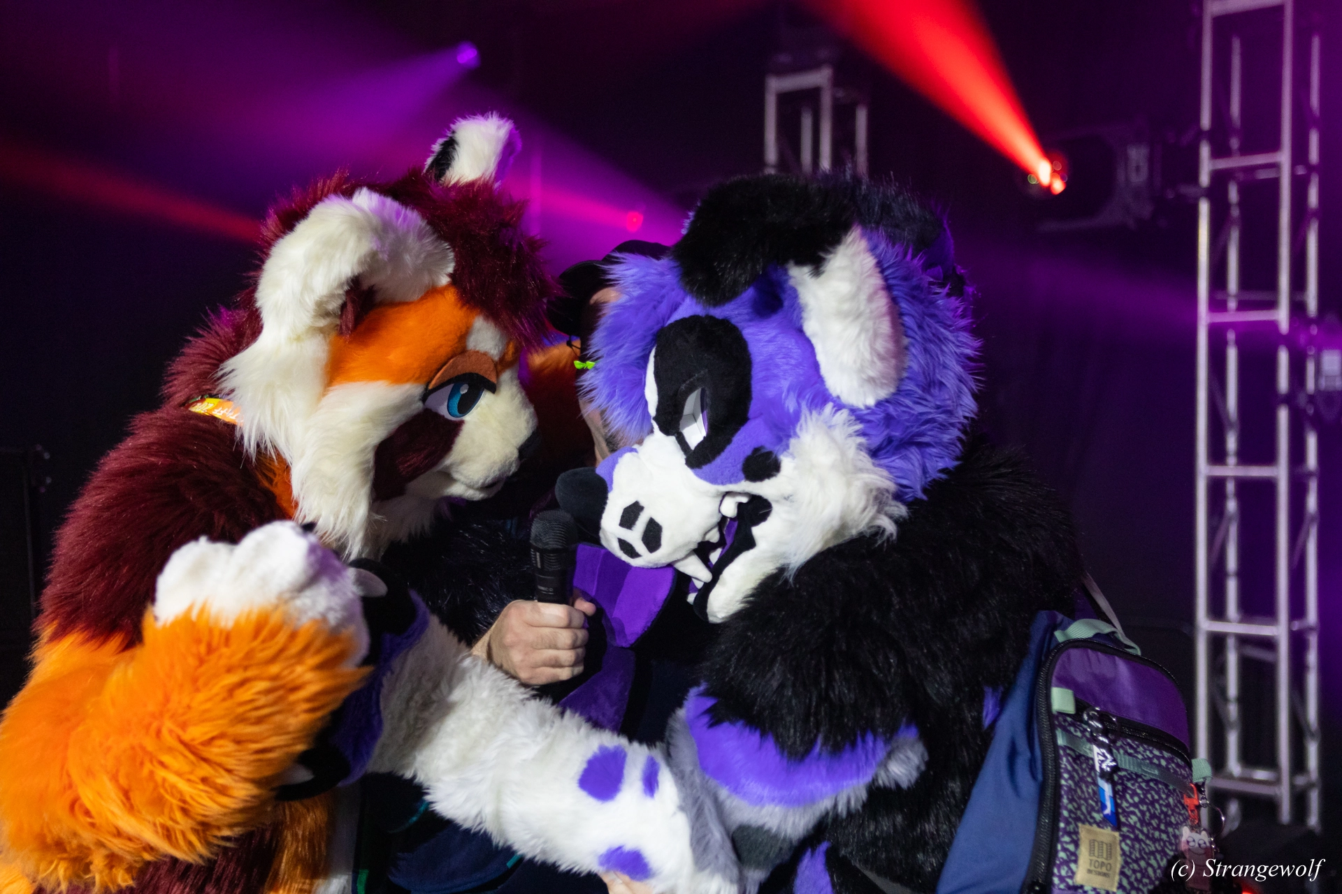 full image 1R3A0933-lr19t.jpg