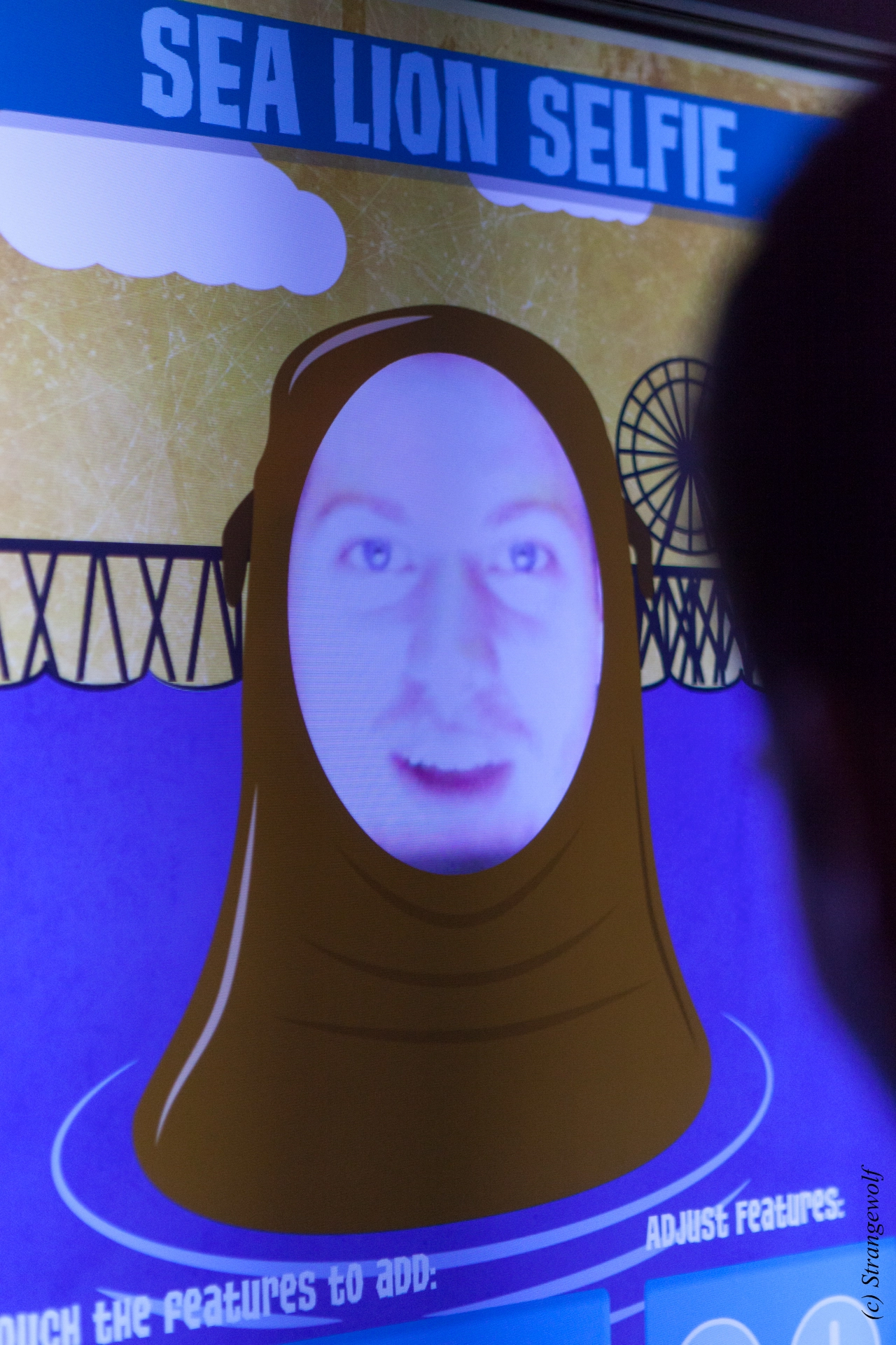 full image IMG_2181-lr19t.jpg