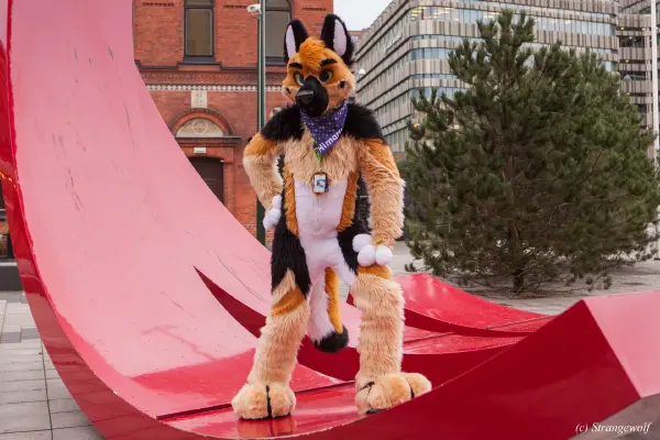 IMG_9035-lr19t.jpg of NFC/NFC2020/