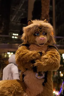 IMG_2479-lr16t.jpg of NFC/NFC2017/